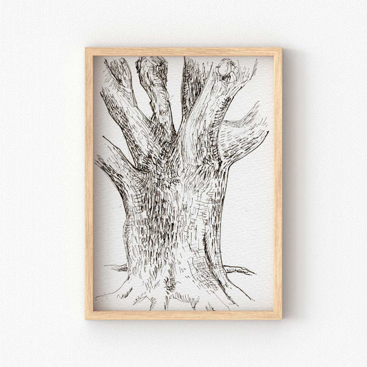 printable wall art of black and white sketch of a camphor tree