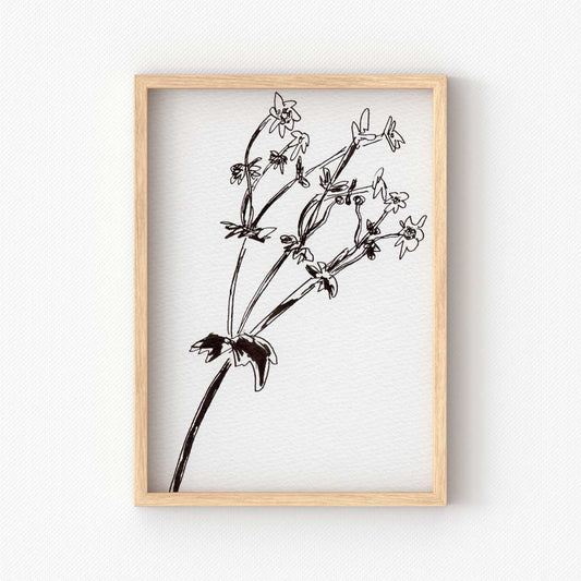 printable wall art of black and white nature sketch of Japanese anemone